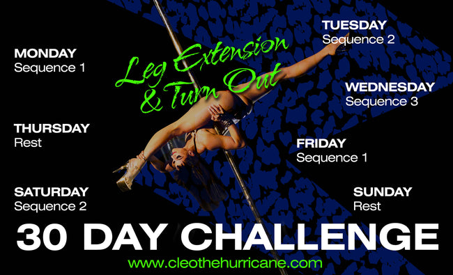 Leg Extension & Turn Out (Download)