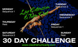 Leg Extension & Turn Out (Download)